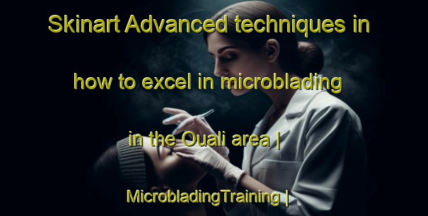 Skinart Advanced techniques in how to excel in microblading in the Ouali area | MicrobladingTraining | MicrobladingClasses | SkinartTraining-Niger